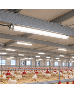 LED Vattentät Armatur IP69K 40W – 6 000 Lumen – 4000K – 120 cm
