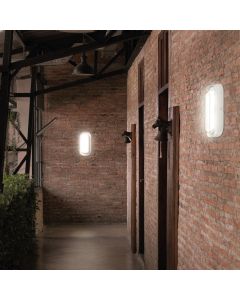 LED-taklampa oval 15W CCT IP54 IK10 266×137 mm – vit