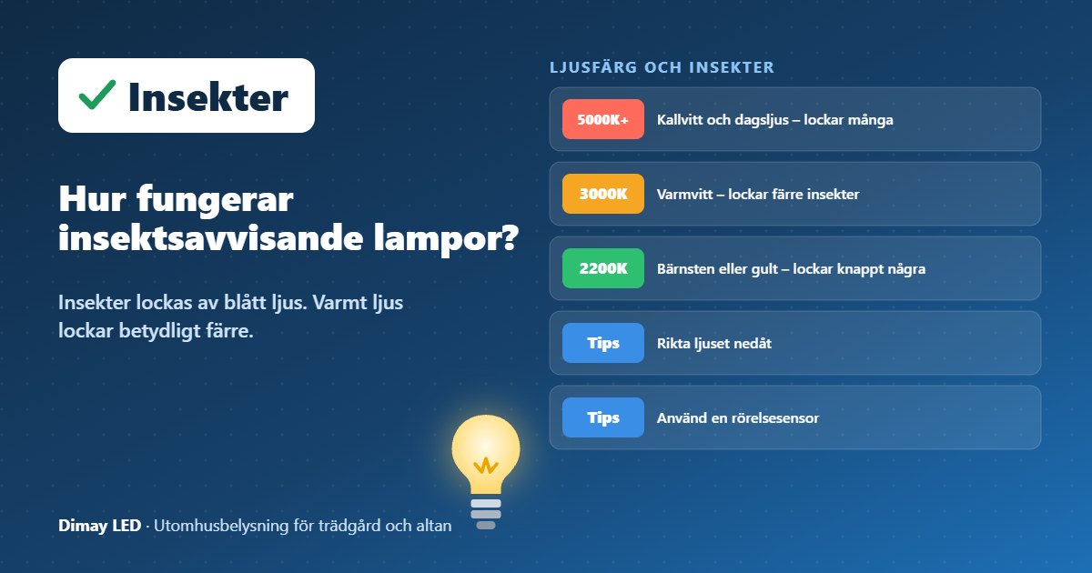 Infografik: Hur fungerar insektsavvisande lampor?