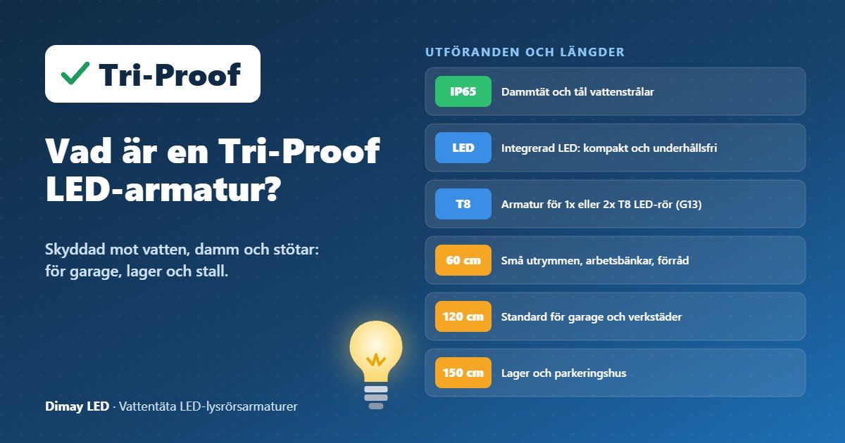 Infografik: Vad är en Tri-Proof LED-lysrörsarmatur?